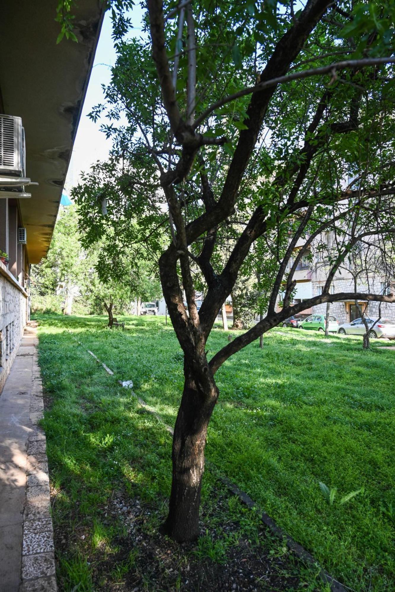 4-Star Design Apartments Bubamara Zadar Buitenkant foto